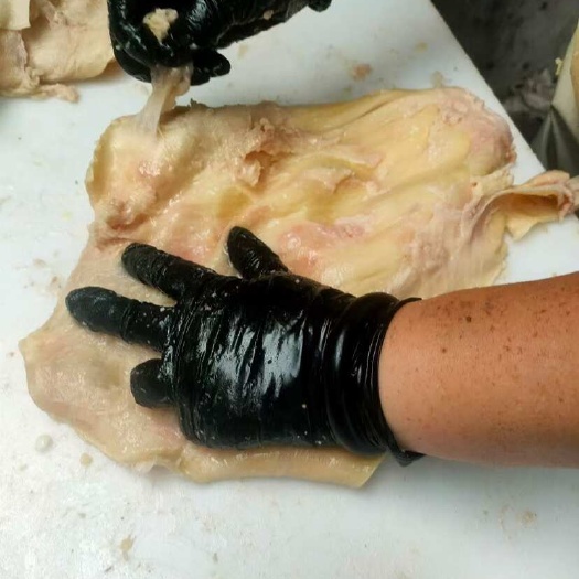 阳信县优质牛筋 ，熟牛腩筋，精修无油，质量保证，厂家直销