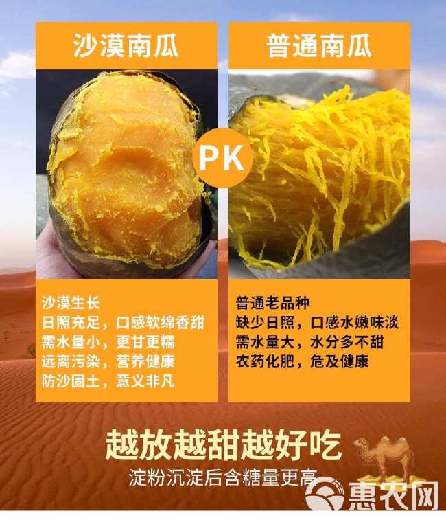 贝贝南瓜，一件代发，可接各大平台