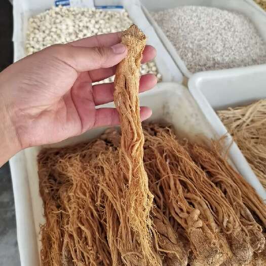 成都当归