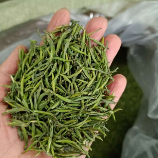 黟县毛尖茶