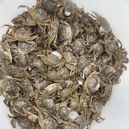 微山县大闸蟹
