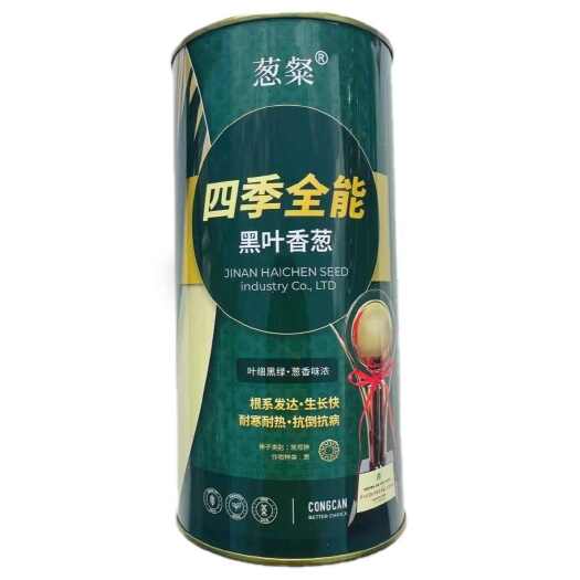 南京四季全能黑叶香葱种子四季小香葱种子抗病抗倒生长快耐寒耐热香葱