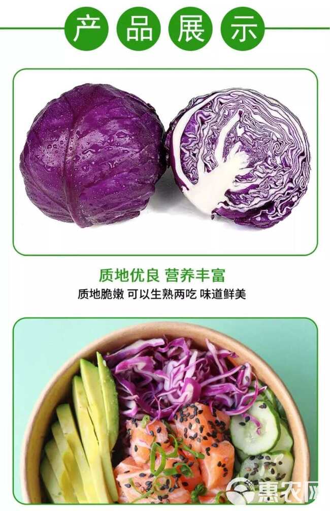 顺丰包邮新鲜紫甘蓝 紫包菜紫椰菜生吃健康轻食沙拉蔬菜西餐食