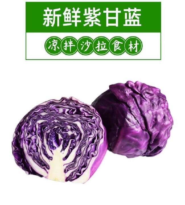 顺丰包邮新鲜紫甘蓝 紫包菜紫椰菜生吃健康轻食沙拉蔬菜西餐食