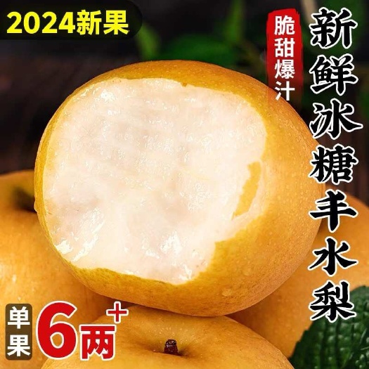 莱阳市山东丰水梨莱阳丰水梨9斤新鲜水果当季现摘现发冰糖甜梨