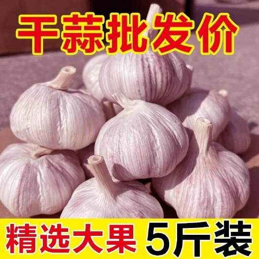 中牟县白皮蒜