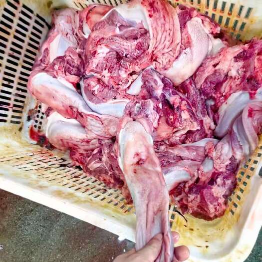 东莞市母猪舌头