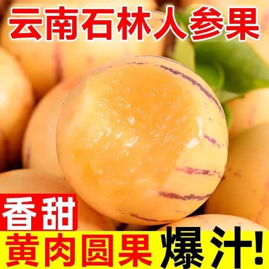 云南石林人参果七彩人生果自然熟圆果清甜多汁批发3斤5斤