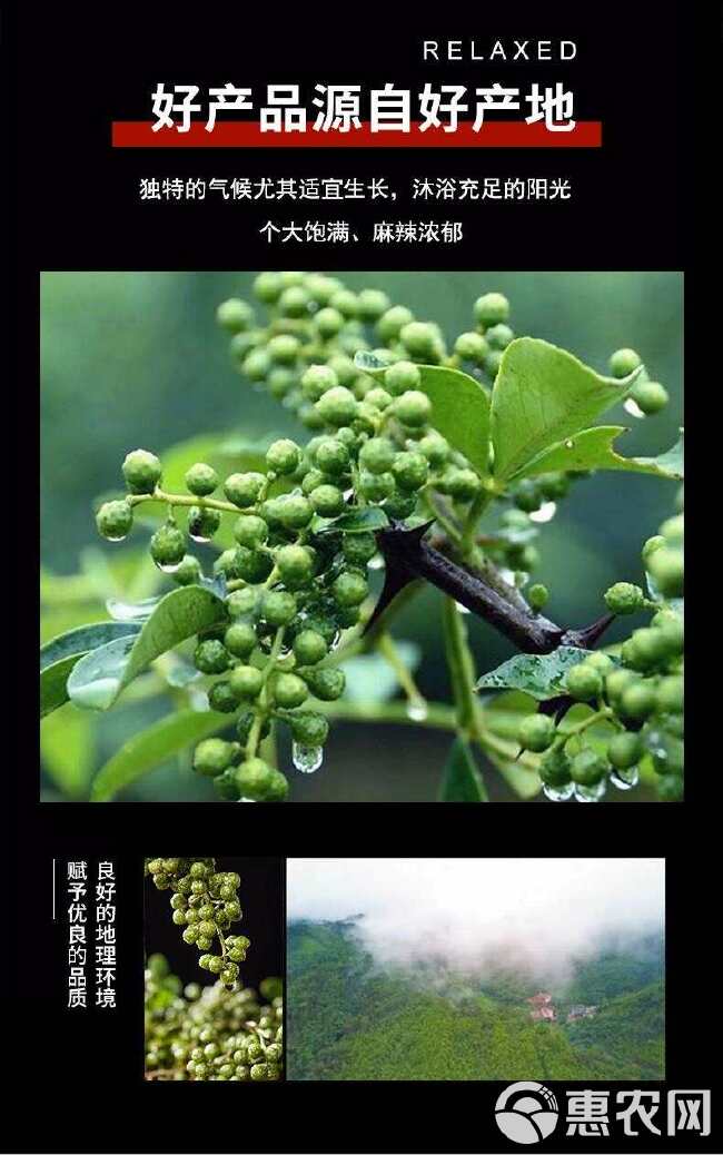 重庆江津新鲜花椒麻椒保鲜特麻藤椒九叶真空四川特产家用商用