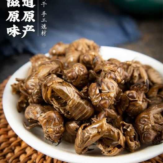 无锡蝉蜕
