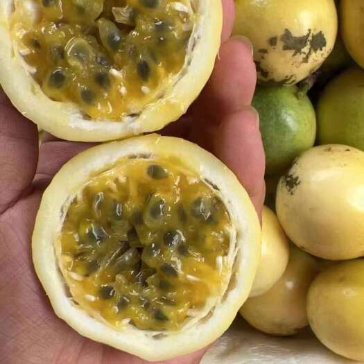 贺州黄金百香果钦蜜9号大果整箱批发价5斤新鲜采摘应季水果广西海南