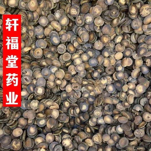 亳州【化橘红】产地广西一手货源实物拍摄，规格齐全量大优惠