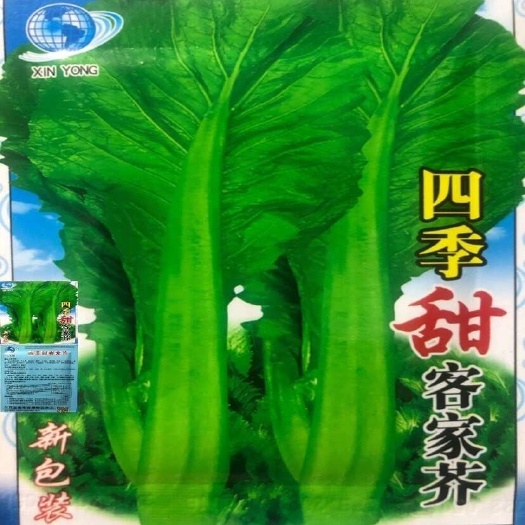 邵东市四季甜客家芥菜种子芥菜蔬菜种子夏秋大田菜园叶子菜青菜正品原装