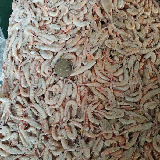 连云港南极磷虾，2024新货，25kg/箱