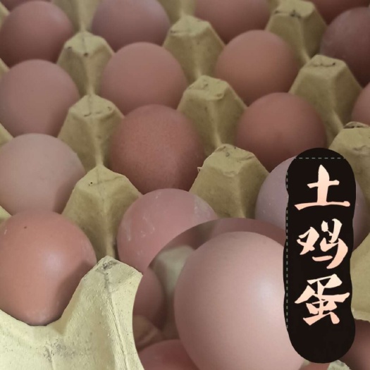 白水县【为保新鲜 只发预定】土鸡蛋 自己包装