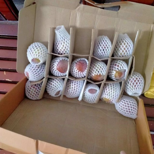 求购芙蓉李三华李的礼品盒包装