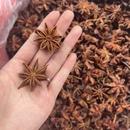 滕州市足干水烫果大红中上果