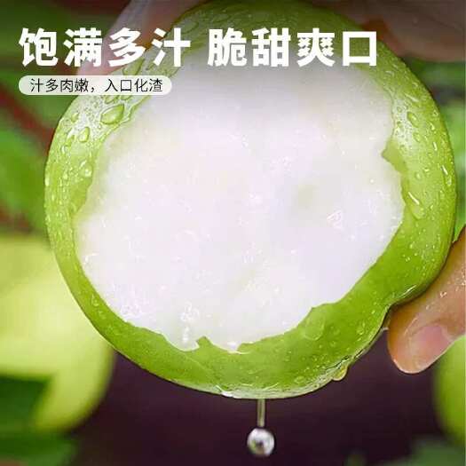 南丰县建宁翠冠梨