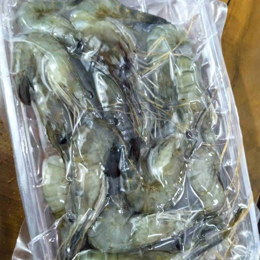 肇庆罗氏虾
