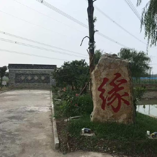 自家农庄蓝莓价格便宜