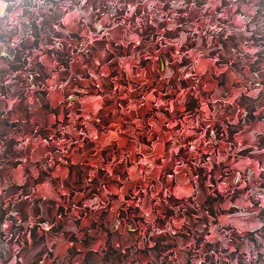 墨红玫瑰花瓣选货，统货