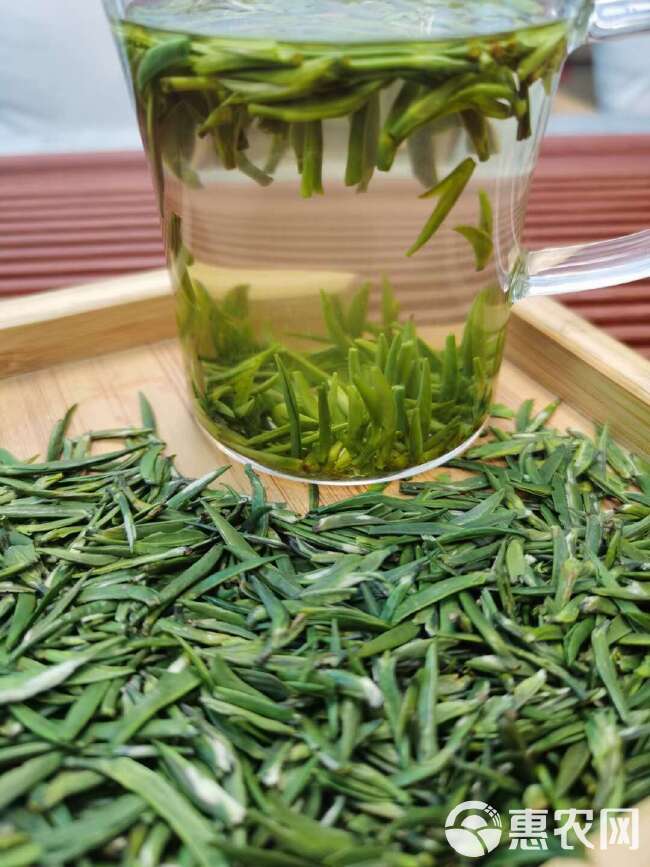 供应绿茶毛尖贡芽茶硒茶春茶