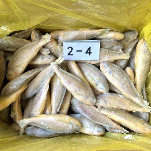 温岭市东海源头工厂精品小黄花鱼（各个规格都有）