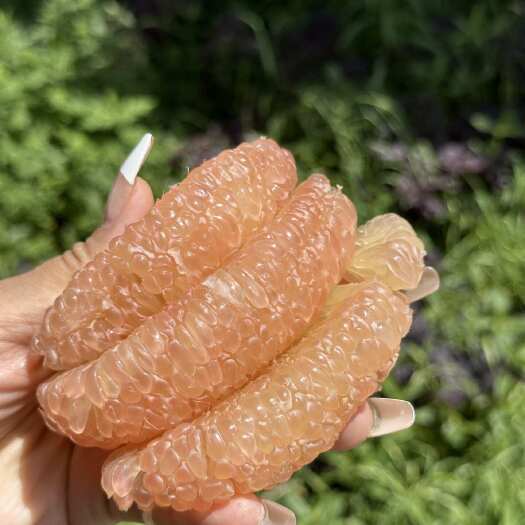 泰国翡翠红心柚 柚子孕妇宝妈控糖解馋水果包邮