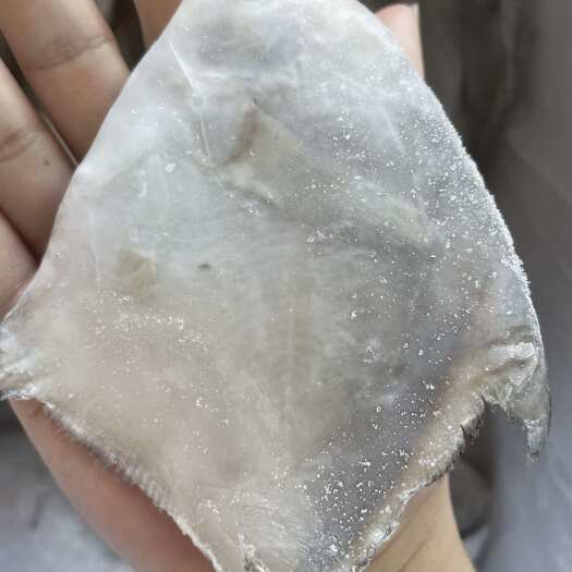 温岭市东海浙江源头工厂5070白鲳鱼（各个规格都有）