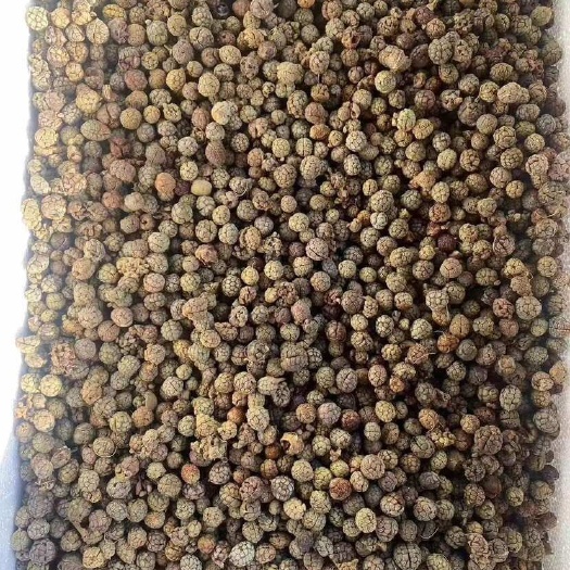 玉林草蔻