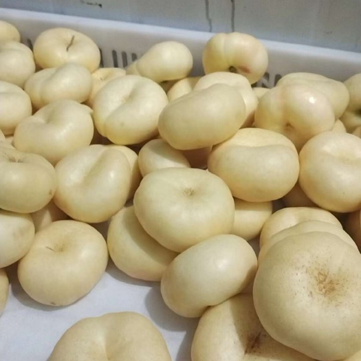 邯郸优质精品蟠桃
