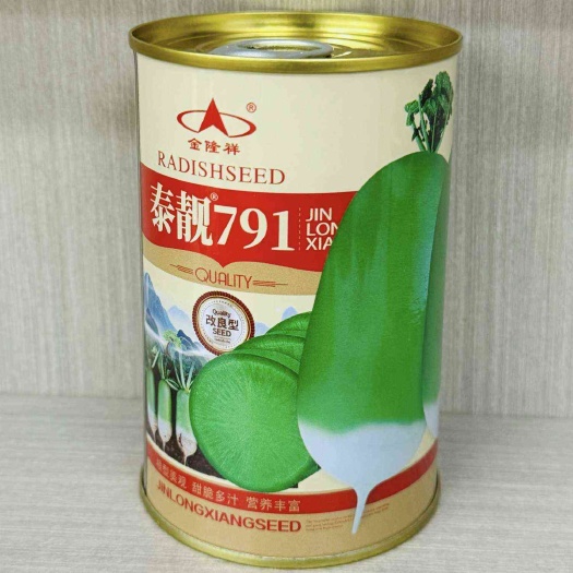 沭阳县泰靓791青皮绿肉秋季萝卜专用品种口感脆甜萝卜大田基地种植高