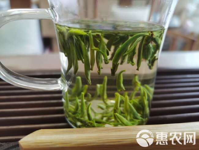 供应绿茶毛尖贡芽茶硒茶春茶