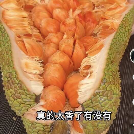 佛山榴莲蜜