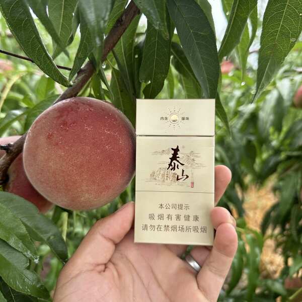 离核青蜜桃 青州蜜 青肉 脆甜爽口 保质保量 供应全国