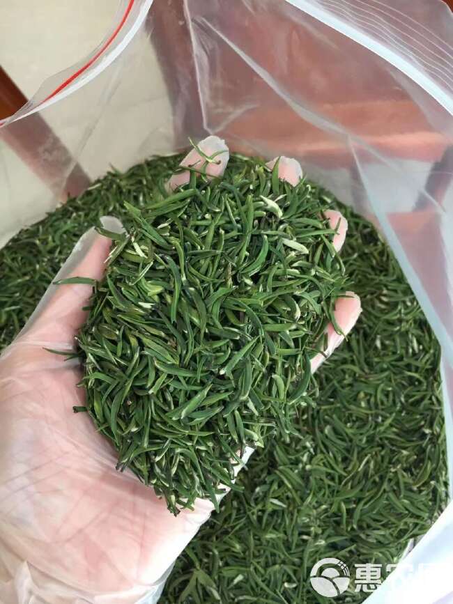 供应绿茶毛尖贡芽茶硒茶春茶