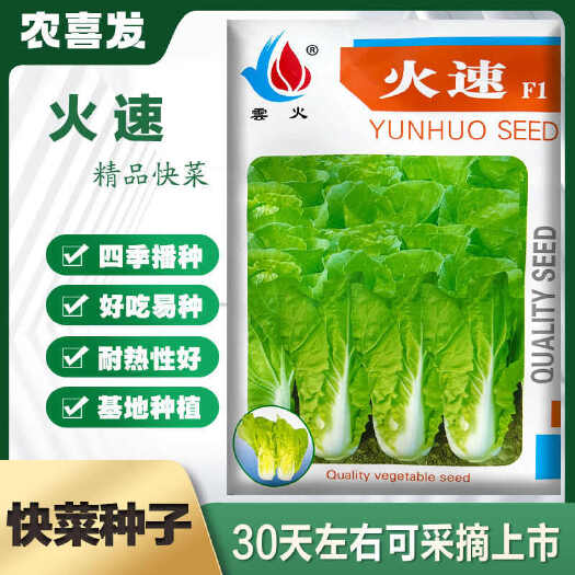 凯里市快菜小白菜种子30天速生小白菜种子甜脆小白菜包心大白菜种子