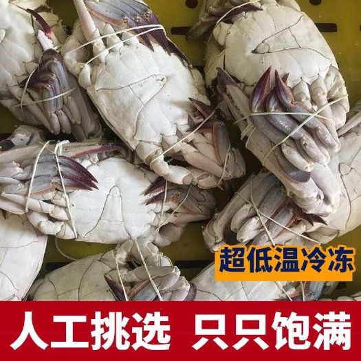 连云港高品质公蟹，当天现捕 梭子蟹鲜活速冻，顺丰包邮到家！！