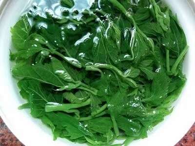 食品级桑叶当季农家桑芽菜桑叶菜新鲜菜批发健康嫩芽酒店餐厅特色