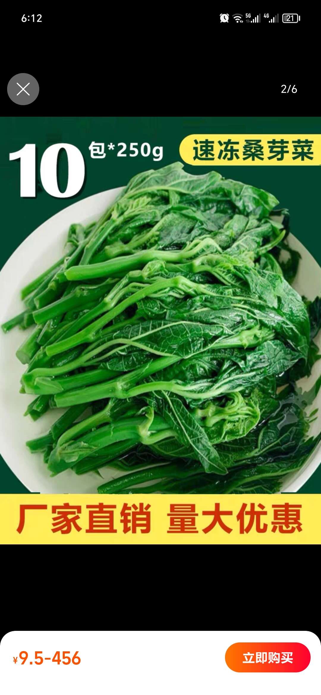 食品级桑叶当季农家桑芽菜桑叶菜新鲜菜批发健康嫩芽酒店餐厅特色