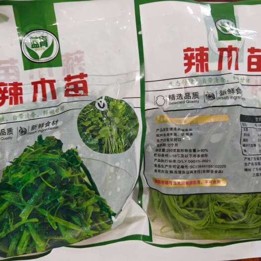 佛山辣木苗新鲜速冻250g酒店特色菜炝拌清炒辣木苗冷冻辣木苗工厂