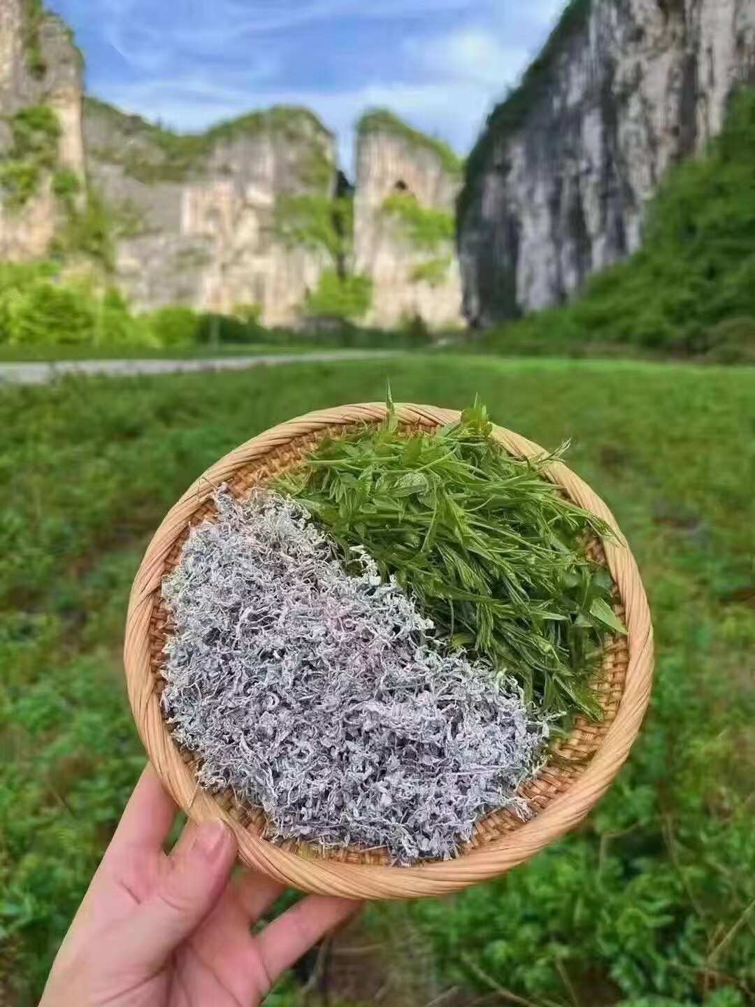 莓茶