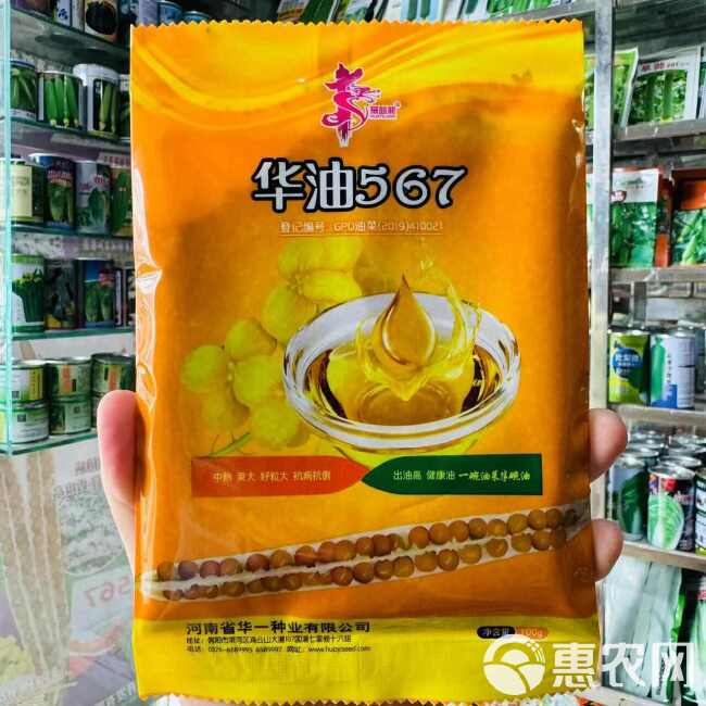 华油567油菜籽种子 半冬性双底油菜种子