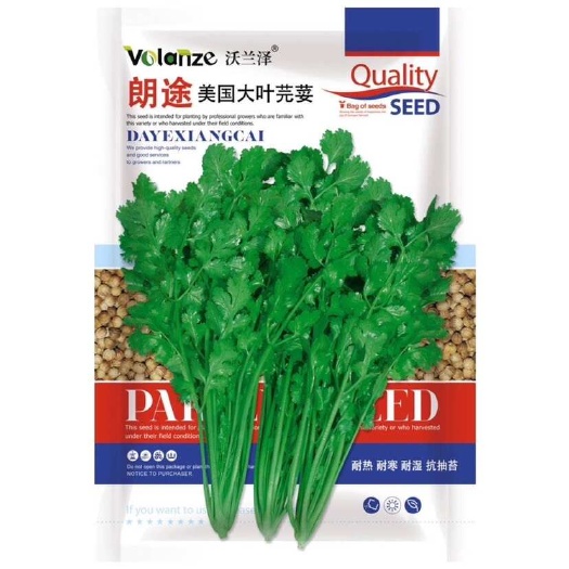 沭阳县朗途美国大叶芫荽香菜种子耐热耐寒耐抽苔