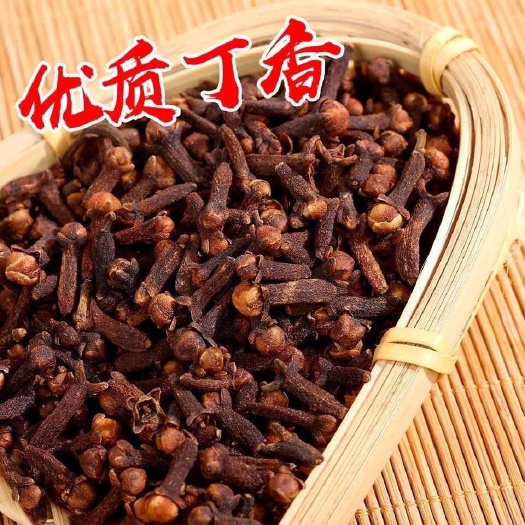 郑州大红公丁香无硫足干优质