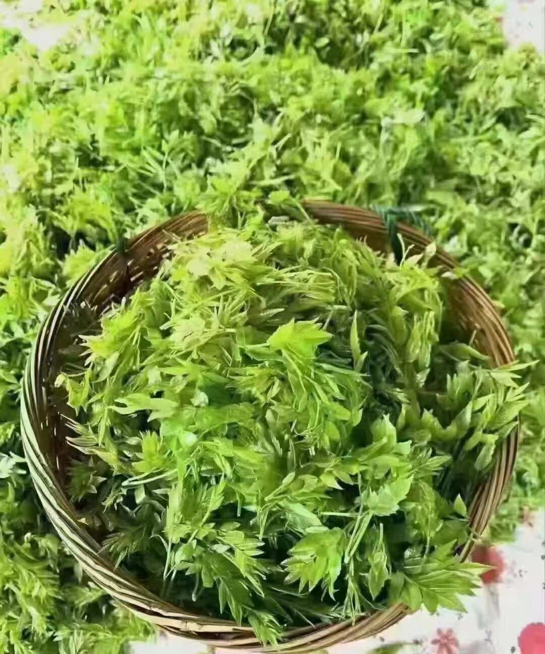 莓茶