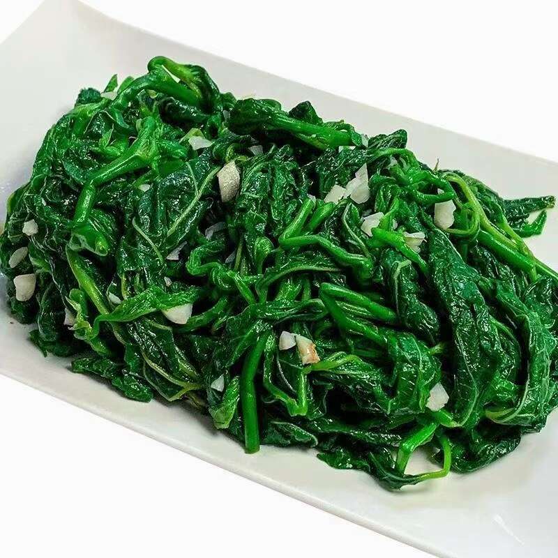 食品级桑叶当季农家桑芽菜桑叶菜新鲜菜批发健康嫩芽酒店餐厅特色