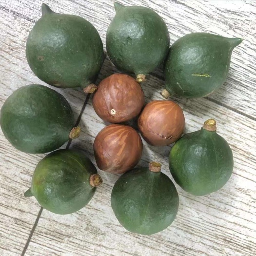  夏威夷果