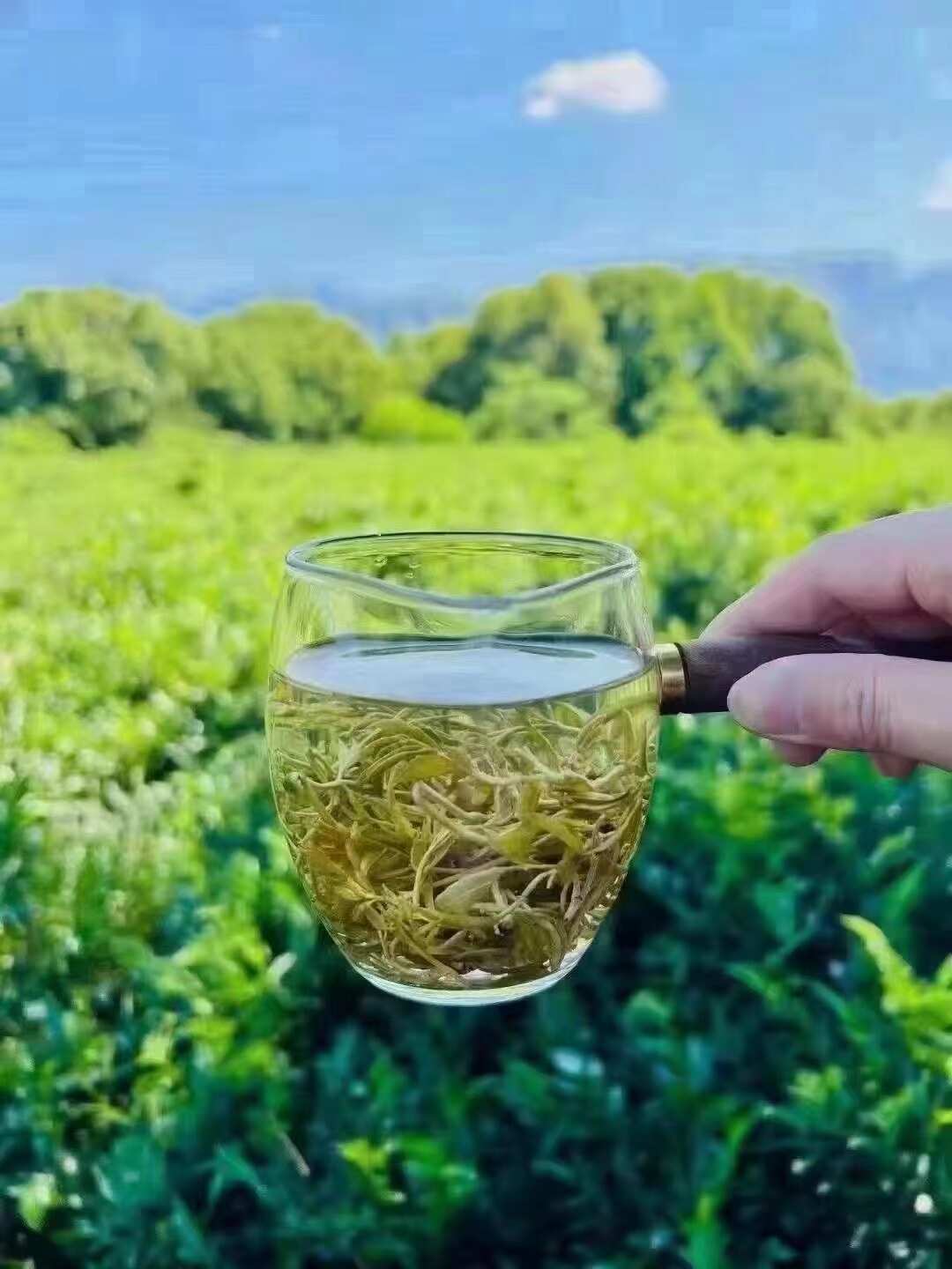 莓茶