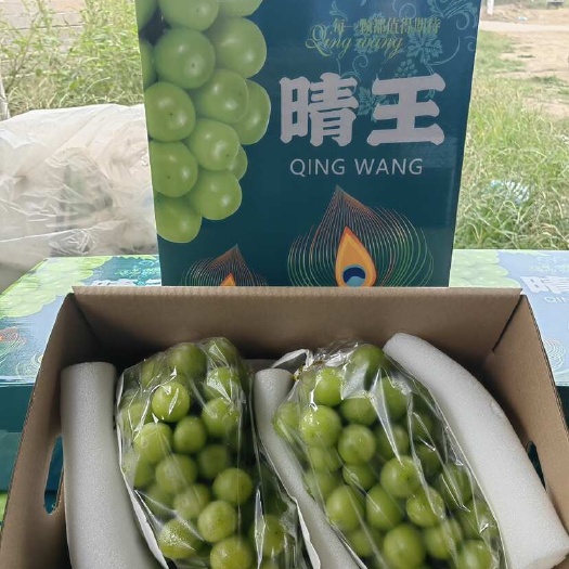 礼盒装阳光玫瑰葡萄产地一手货源对接各大商超  平台  外贸